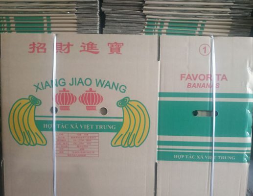 Công ty sản xuất bao bì, thùng carton chất lượng tại Hà Nội 
