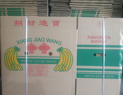 Thùng carton sau khi được in ấn logo sản phẩm 