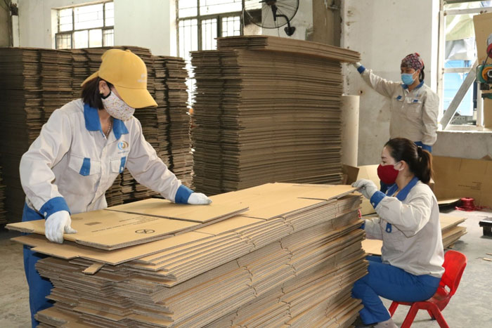 kiểm tra thùng carton qua vật liệu